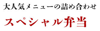 大人気メニューの詰め合わせスペシャル弁当