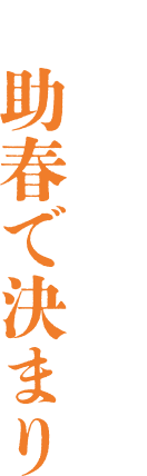 お肉が食べたくなったら助春で決まり